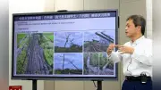 JR九州鉄道収入21.3%減、熊本地震で新幹線運休長期化