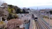 水戸・偕楽園の観覧料、梅まつり期間中に大人320円→500円へ 茨城県が来年から引き上げ