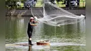 霧島で伝統「はんぎり出し」 ボラの稚魚漁を楽しむ