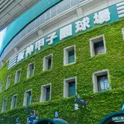 甲子園が生む「応援消費」、個人タオル200枚・20万円の背景