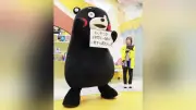 くまモン、熊本地震後に初めて活動拠点に登場「たいせつな仲間と一緒に一歩ずつ進むモン！」