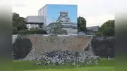 熊本城、13日から開園へ 石垣崩落40か所も安全確認