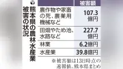 熊本地震でい草農家に深刻な打撃、自宅の畳工場も損壊