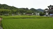 熊本地震、八代の防犯カメラが震源断層出現の瞬間を撮影　専門家「大変貴重だ」