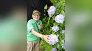 熊野古道の最年長語り部、90歳の植物愛と大樹に導かれた人生