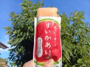 京大発スタートアップが挑む「細胞を創る」未来の医療