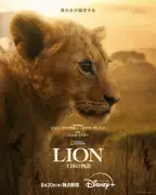 子ライオン1頭を1400日追跡『LION -王国の物語-』ディズニープラスで配信開始