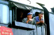 全国の自治体で進む脱炭素、再エネ導入の最前線とは