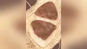 満腹でござる倫太郎食日記第76回 わさび味噌握り飯