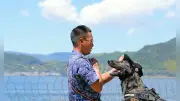 海自警備犬もみじ号、熊本地震で捜索任務 愛らしさと頼もしさで活躍