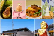 道の駅常総でお盆イベント「HOT＆COOL祭り」8月8日から開催