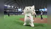 ミー太郎が東京ドームに凱旋！ファーム戦でキレキレY.M.C.A.披露