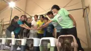 『24時間テレビ』森保監督が保護犬トリミング初参加 相葉雅紀らと
