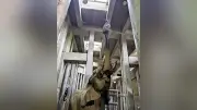 盛岡市動物公園ZOOMO、動物福祉と環境エンリッチメントの取り組みを紹介
