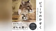 盛岡ZOO MOのピューマ一家フォトブックが重版決定、発売1週間で人気
