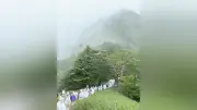石鎚山お山開き、白装束の列が雨の山頂へ　ご神像を担ぎ約4時間