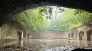 「まるでラピュタ」緑に侵食される廃墟…かつて地図から消された軍事機密島の謎
