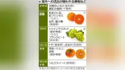 新品種の海外流出防止へ、農水省認定機関が許諾から訴訟まで一括管理を開始