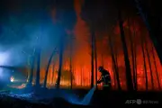 仏南西部で再び森林火災、約1100ヘクタール焼失し500人以上避難
