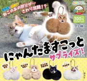 「にゃんたますこっと」第3弾登場、びっくりフェイスで8月20日発売
