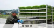 「なだ万」運営ONODERA GROUP、新潟・関川村でコメ自社生産開始
