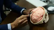 高齢でもヨボヨボにならない人｢頻繁にしている｣前頭葉を活性化するアウトプット習慣とは