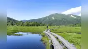 尾瀬国立公園で入域協力金の実証実験開始、群馬側で任意の500円