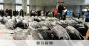 太平洋クロマグロ国際会議、異例の再開催へ 漁獲増枠の合意が焦点