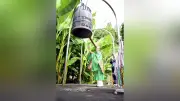 さくら市の東輪寺で平和の鐘つく集い　原爆犠牲者に黙とう
