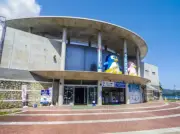 ペンギンのヒナがカゴから脱走しフンをまき散らす　水族館がユーモア交えて報告