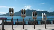 「うさぎの島」大久野島に年間20万人、なぜ地元は潤わない？廃墟の島と玄関口の挑戦