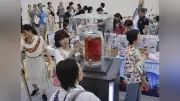 万博の技術・製品が再集結、りそな銀行がイベント開催　心筋シートや空飛ぶクルマも