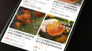 改正種苗法で農産物の知的財産保護徹底を