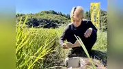 「田んぼダム」久留米市で広がる 豪雨対策、貯水５０万トン規模に