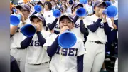 履正社アルプス席で女子硬式野球部員が声援 16強の無念も乗せて