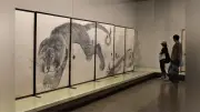 芦雪の襖絵「龍」と「虎」圧巻、県立博物館で特別展