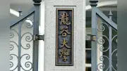 龍谷大野球部、部員間の暴行や不適切動画共有で活動停止処分に
