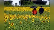 佐賀県内初の酷暑日 佐賀市で40.2度を観測