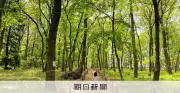 世界農業遺産の落ち葉堆肥農法、平地林増やし継承へ 三芳町がGCFで寄付募集