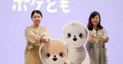 シャープ「ポケとも」第2弾登場、おれさまタイプのミーアキャットロボット