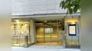 小学館の第三者委報告書、性加害係争中の作家に別名義で原作担当させた編集部に「人権侵害の助長・加担」と指摘