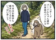 スローライフで見つける、自分らしい時間の使い方と豊かさ