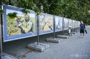クリミアで兵士が民間人含む4人殺害、ロシア任命市長が発表