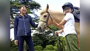 夏休み明けの子、馬と触れ合い不安緩和…心身癒やす取り組み