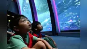 夏休みの子どもの「夏の体験」支援、教育ルネサンス特集