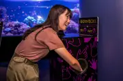 サンシャイン水族館、夜間特別営業「性いっぱい展」9月11日から開催
