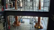 国産ジン「酒離れ」防ぐ救世主なるか サントリー、55億円投じ大阪工場を増強