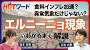 スーパーエルニーニョで食料品最大20%高騰懸念、日本経済への影響は