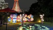 ザ・プリンスパークタワー東京「スズムシカフェ」開催、AR花火やレンタル浴衣でレトロな夏を満喫