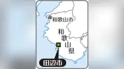 通勤手当120万円不正受給で田辺市職員を減給処分